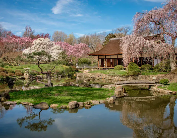 2016 Shofuso is Open for Cherry Blossom Season Mar 26th (Shofuso is Listed as the 3rd Best Japanese Garden in North America by Philadelphia Mag!) | Japanese-City.com