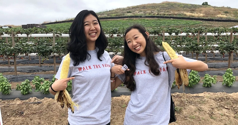 2024 - 13th Annual Walk the Farm Event (1 1/2 Mile Walk Around & Sample Fruits, Vegetables, Shave-Ice, Live Taiko..) [See Video] | Japanese-City.com