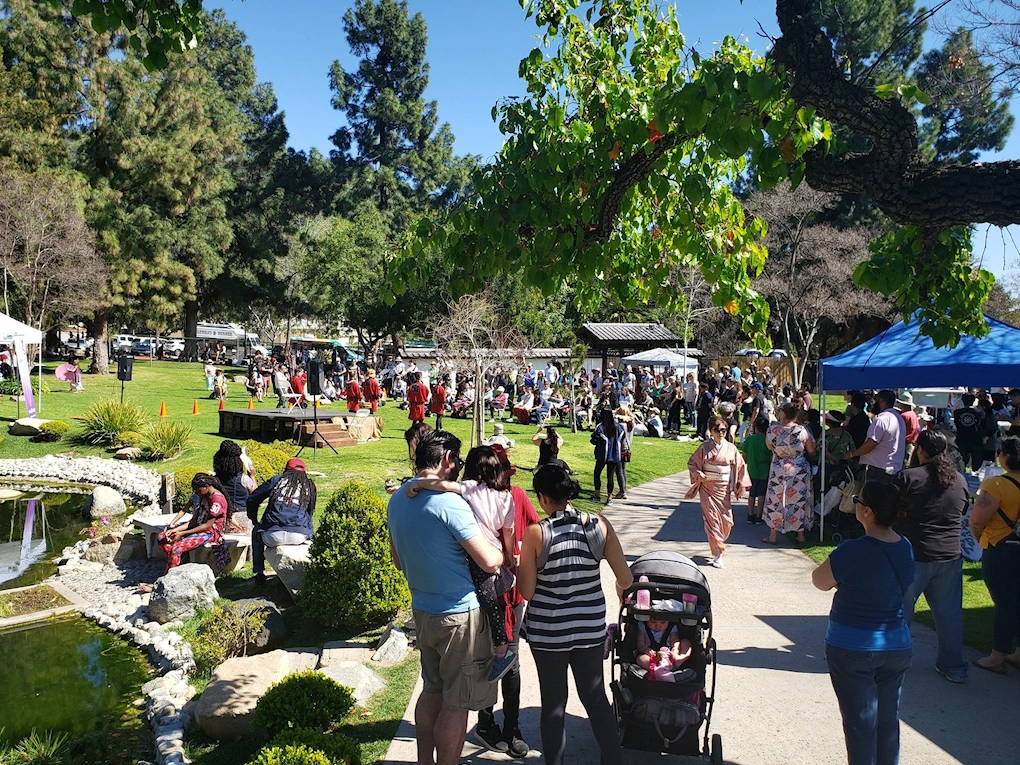 2025 Shoseian Teahouse Annual Cherry Blossom Festival, Sakura Matsuri (Live Taiko, Tea Ceremony, Performances..) | Japanese-City.com