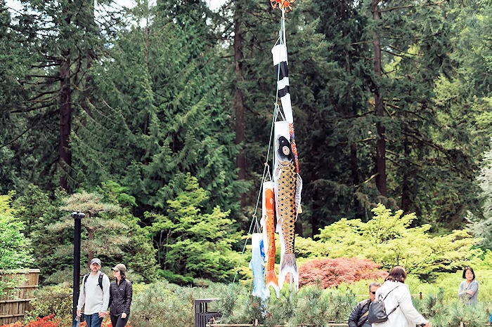 2025 Sunday: Annual Kodomo no Hi: Children's Day Festival Event (Taiko Performances, Origami, Displays of Koinobori..) Portland Japanese Garden | Japanese-City.com