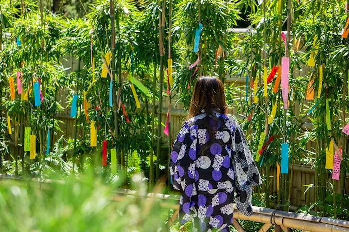 2025 Tanabata, The Star Festival Event (This Ancient Tradition of Writing Wishes or Prayers Comes From the Edo Period) | Japanese-City.com