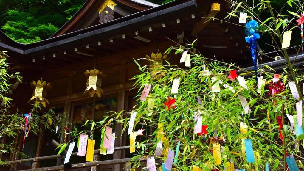 2025 Tanabata (Star Festival) at Birmingham Botanical Gardens (Enjoy Japanese Cultural Activities, Japanese Tradition Making  Wishes & Hanging..) | Japanese-City.com