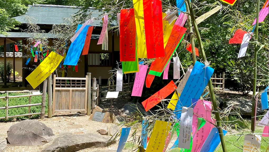 2025 Tanabata (Star Festival) at Birmingham Botanical Gardens (Enjoy Japanese Cultural Activities, Japanese Tradition Making  Wishes & Hanging..) | Japanese-City.com