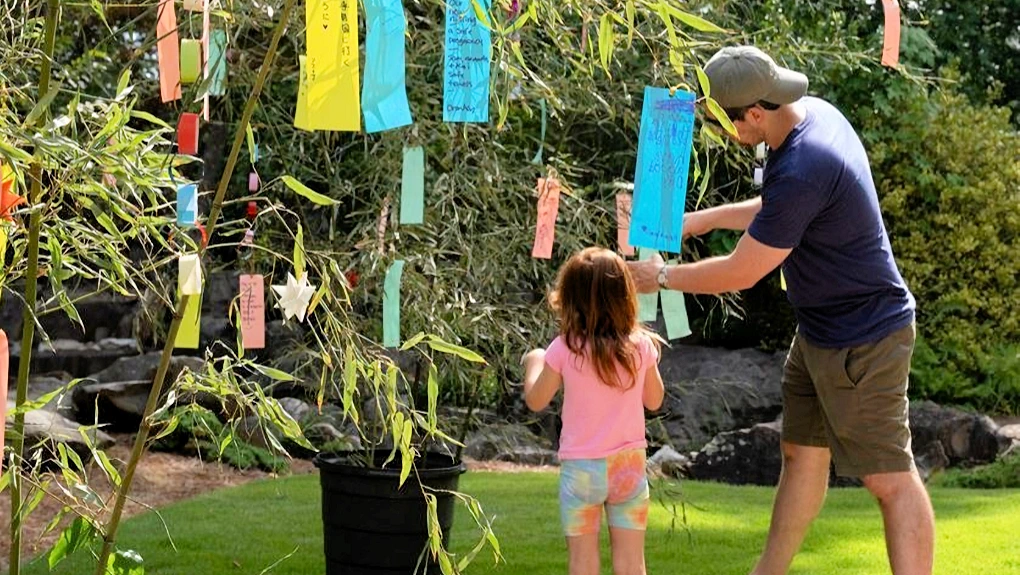 2025 Tanabata (Star Festival) at Birmingham Botanical Gardens (Enjoy Japanese Cultural Activities, Japanese Tradition Making  Wishes & Hanging..) | Japanese-City.com