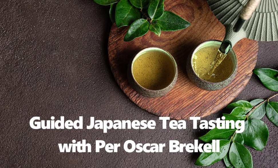 2025 Guided Japanese Tea Tasting with Per Oscar Brekell | Japanese-City.com