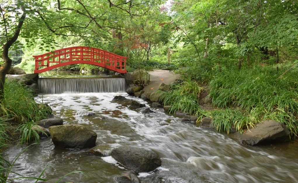 2024 (Sold Out) Obon (お盆) / 2nd Japanese Bon Festival at Cranbrook #MIBON2024 (Bon Odori, Taiko, Music, Sushi, Tours..) | Japanese-City.com