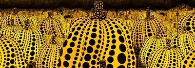 2025 Return to Infinity: Yayoi Kusama - Dallas Museum of Art. Visitors Can Immerse Themselves in the Mesmerizing World of Yayoi Kusama