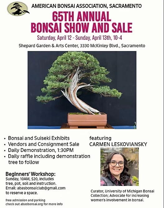 2025: 65th Annual Bonsai Show & Sale Returns to Sacramento: A Celebration of Living Art & Tradition | Japanese-City.com