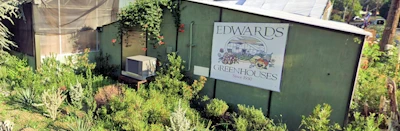 Japanese events venues location festivals Edwards Greenhouse & Flowershop