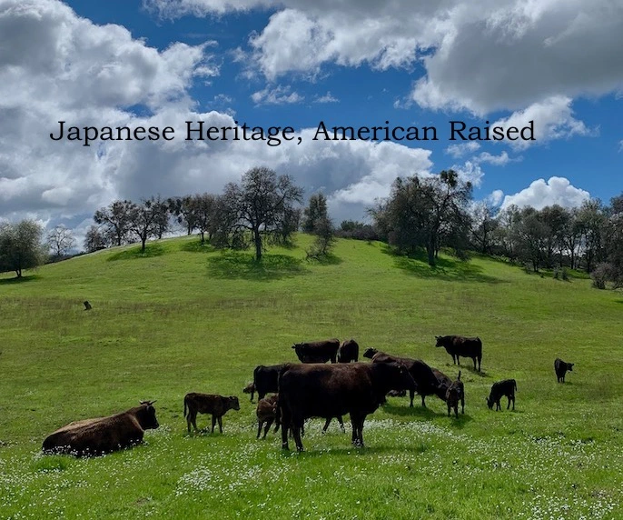 Nakagawa Ranches | Japanese-City.com